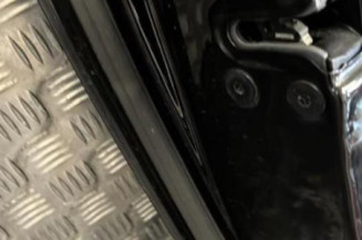 Porte arriere gauche RENAULT LAGUNA 3