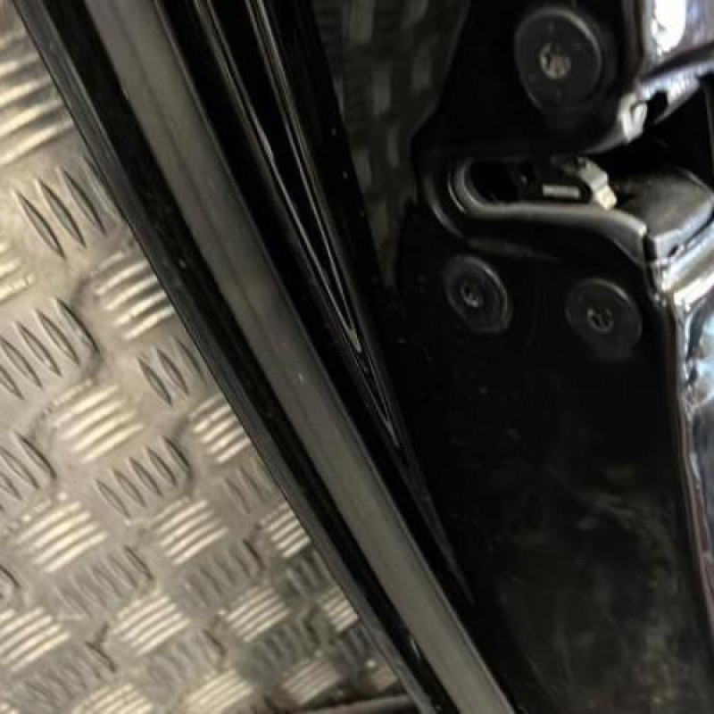 Porte arriere gauche RENAULT LAGUNA 3 Photo n°3