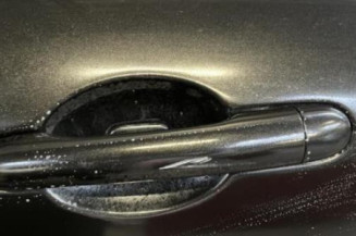 Porte arriere gauche RENAULT LAGUNA 3