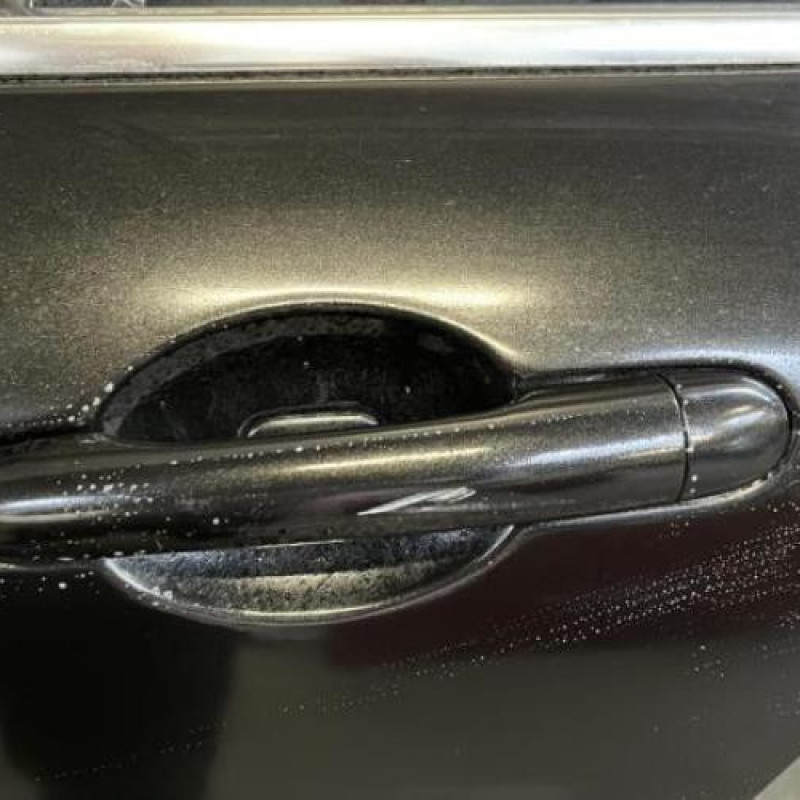 Porte arriere gauche RENAULT LAGUNA 3 Photo n°4