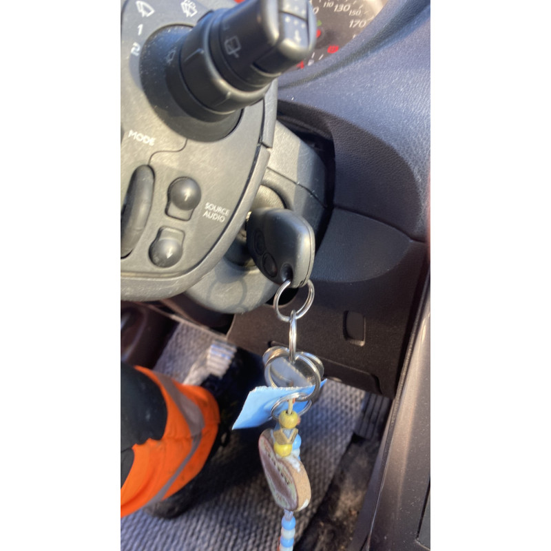 Attache ceinture arriere droit RENAULT CLIO 3 Photo n°14