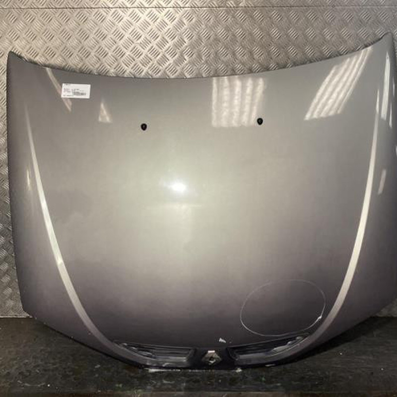 Capot RENAULT MEGANE 1 Photo n°1