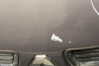 Capot RENAULT MEGANE 1