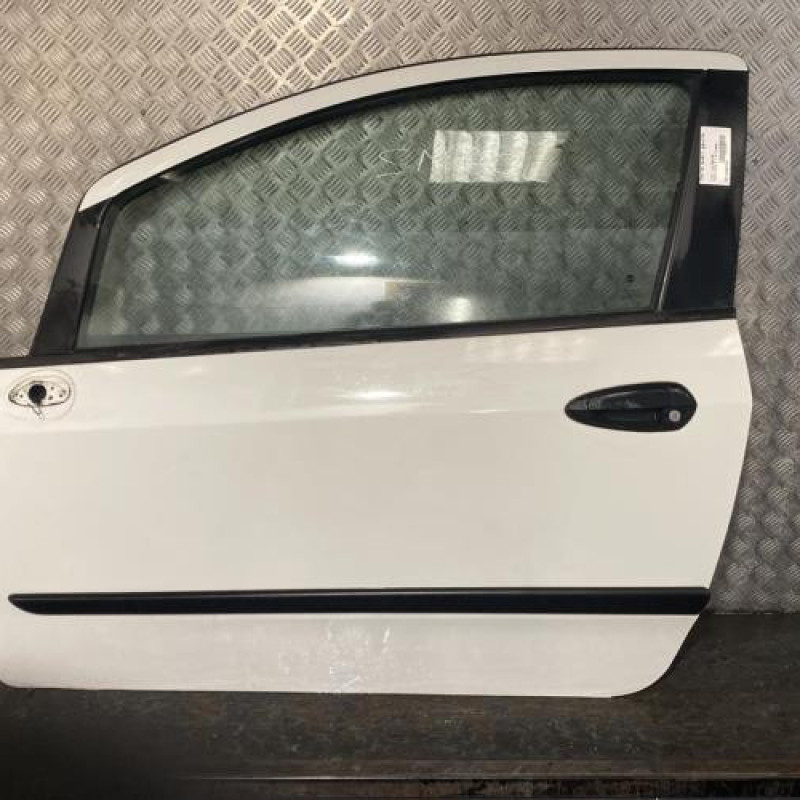 Porte avant gauche FIAT PUNTO EVO 3 Photo n°1