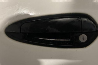 Porte avant gauche FIAT PUNTO EVO 3