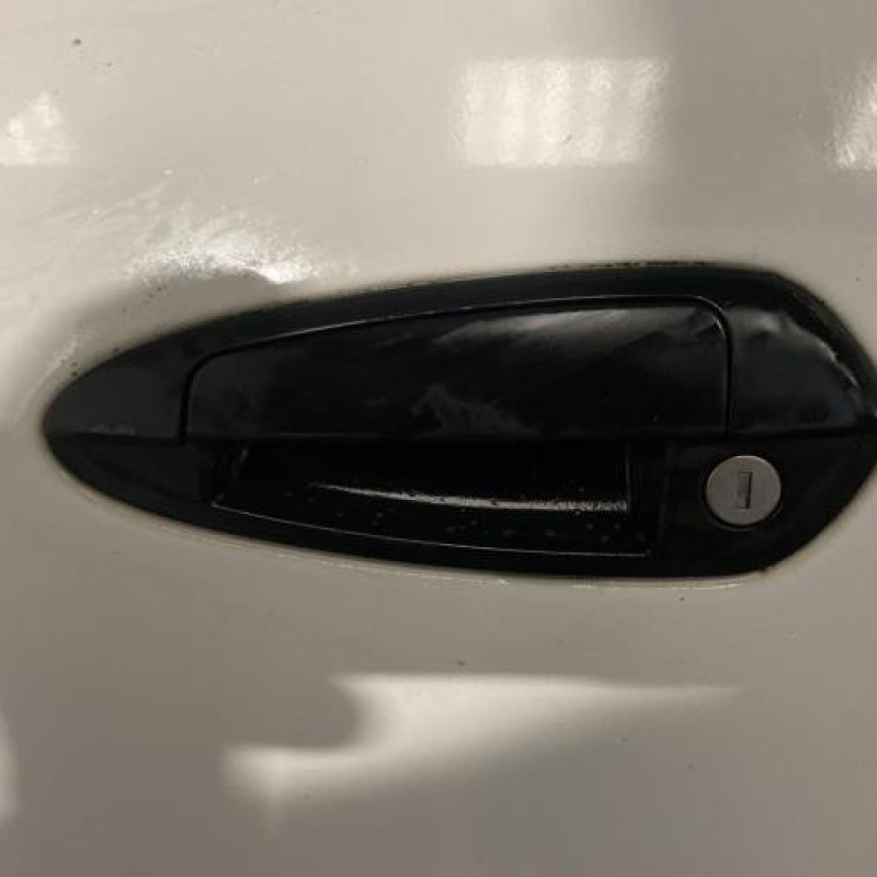 Porte avant gauche FIAT PUNTO EVO 3 Photo n°2