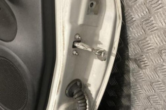 Porte avant gauche FIAT PUNTO EVO 3