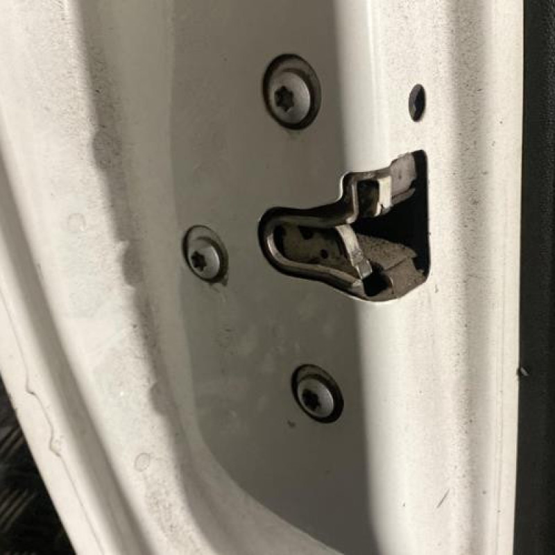 Porte avant gauche FIAT PUNTO EVO 3 Photo n°5