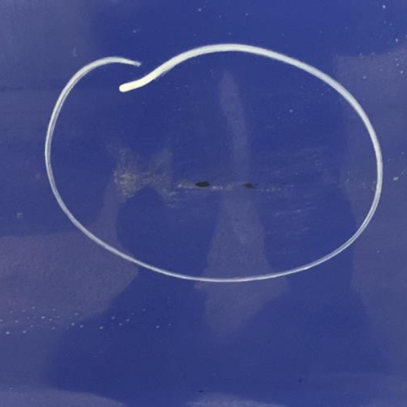Porte avant droit OPEL CORSA C Photo n°2