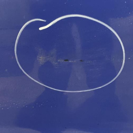 Porte avant droit OPEL CORSA C