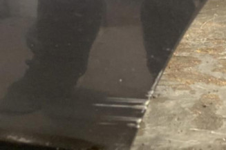 Porte arriere gauche PEUGEOT 306