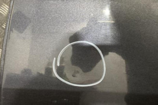 Porte arriere gauche PEUGEOT 306
