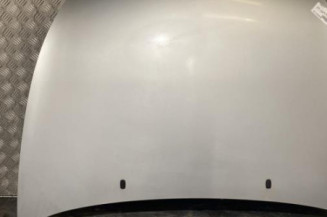 Capot FORD KA 1 Photo n°1