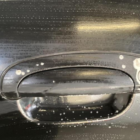 Porte avant gauche HYUNDAI GETZ