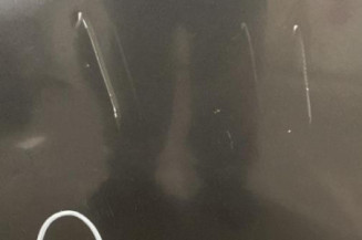 Porte arriere gauche RENAULT MEGANE 3