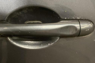 Porte arriere gauche RENAULT MEGANE 3
