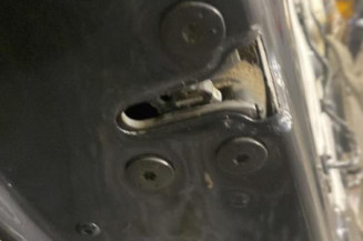 Porte arriere gauche RENAULT MEGANE 3