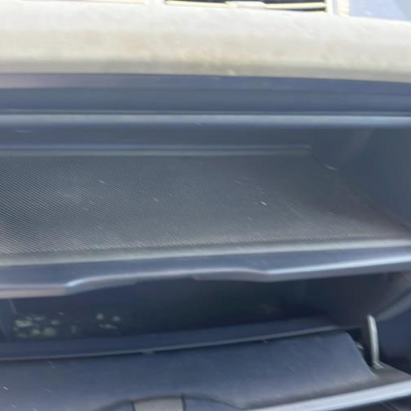 Porte avant gauche RENAULT ESPACE 4 Photo n°14