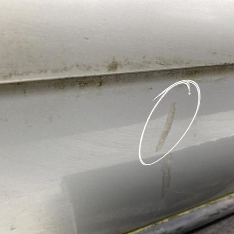 Porte arriere gauche AUDI A8 1 Photo n°4