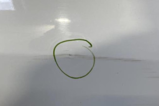 Porte avant droit RENAULT CLIO 3