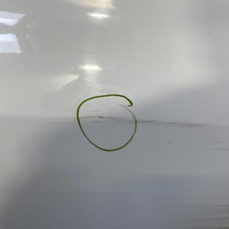 Porte avant droit RENAULT CLIO 3