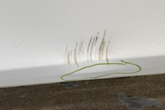 Porte avant droit RENAULT CLIO 3