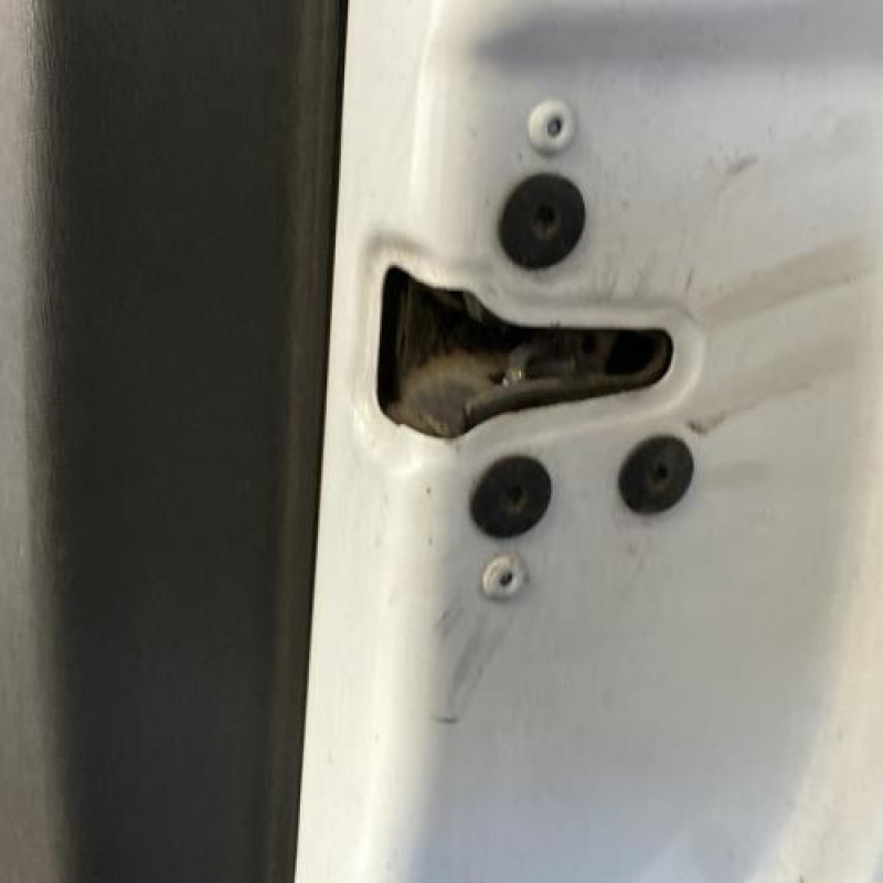 Porte avant droit RENAULT CLIO 3 Photo n°8
