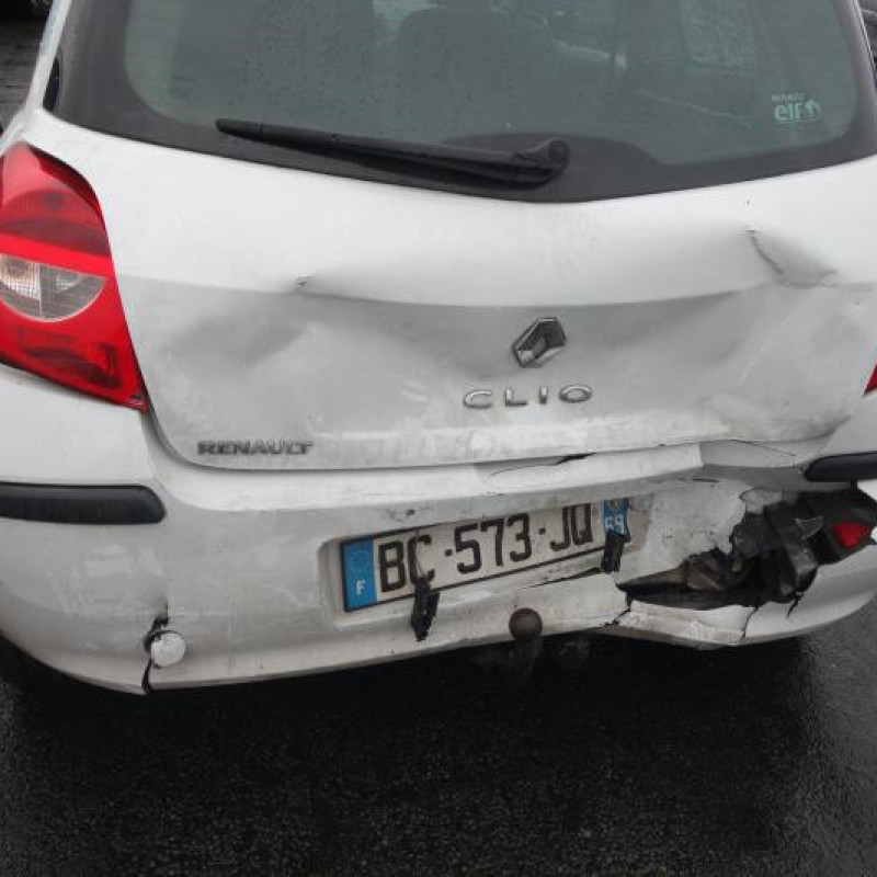 Porte avant droit RENAULT CLIO 3 Photo n°13