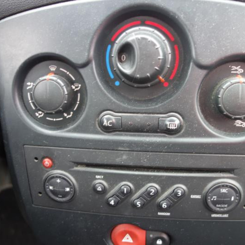 Porte avant droit RENAULT CLIO 3 Photo n°15