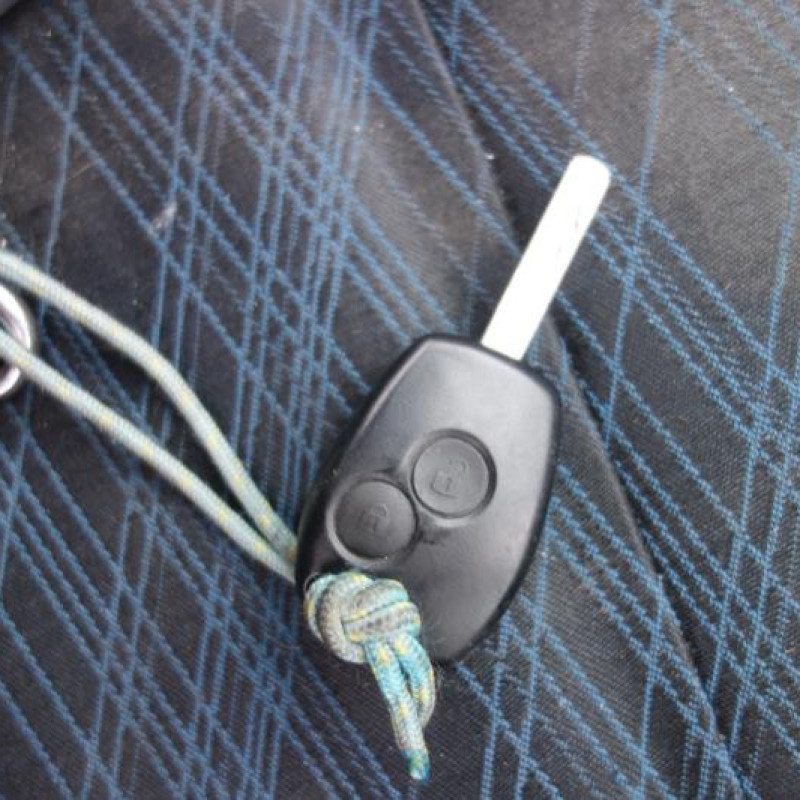 Porte avant droit RENAULT CLIO 3 Photo n°16