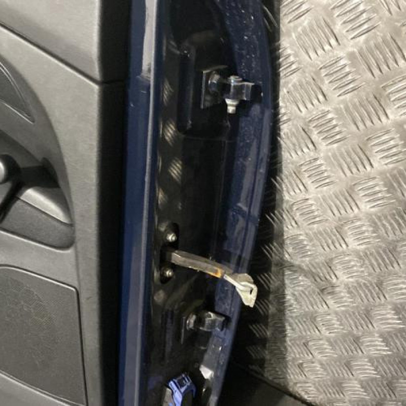 Porte arriere gauche FIAT GRANDE PUNTO Photo n°5
