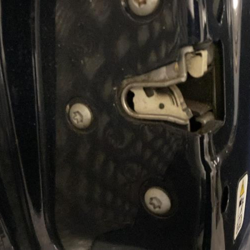 Porte arriere gauche FIAT GRANDE PUNTO Photo n°6