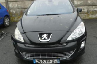Porte arriere gauche PEUGEOT 308 1