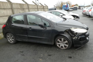 Porte arriere gauche PEUGEOT 308 1