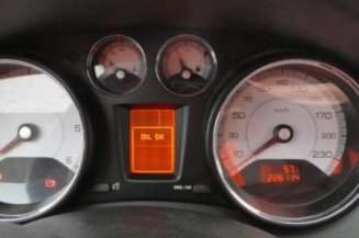 Porte arriere gauche PEUGEOT 308 1
