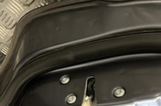Porte arriere gauche CITROEN C-CROSSER
