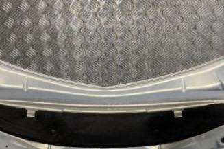Capot RENAULT MODUS
