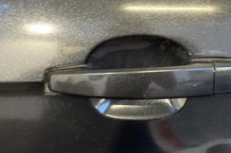 Porte arriere gauche CHEVROLET CAPTIVA