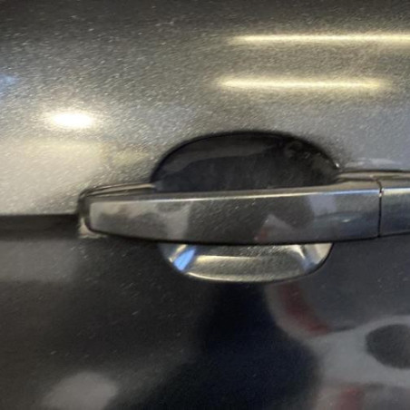 Porte arriere gauche CHEVROLET CAPTIVA