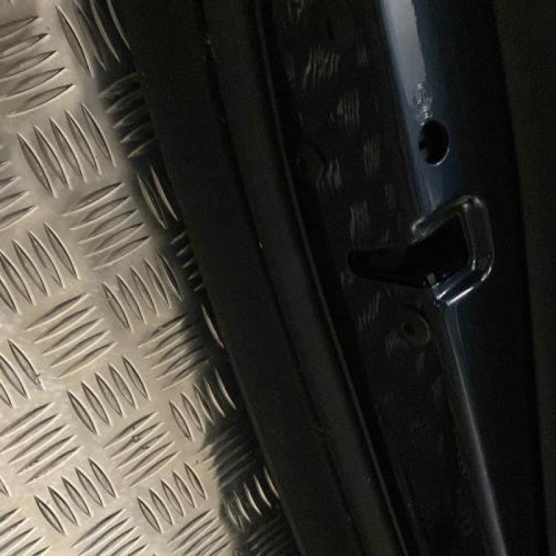 Porte arriere gauche VOLKSWAGEN GOLF 5 Photo n°5