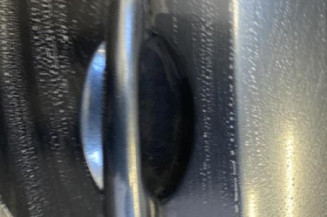 Porte arriere gauche RENAULT LAGUNA 2