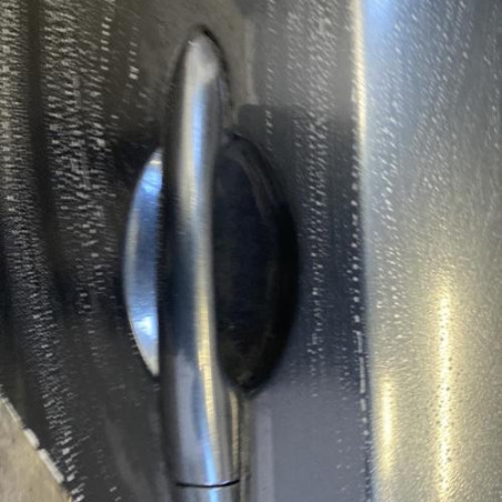 Porte arriere gauche RENAULT LAGUNA 2