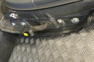 Porte arriere gauche RENAULT LAGUNA 2