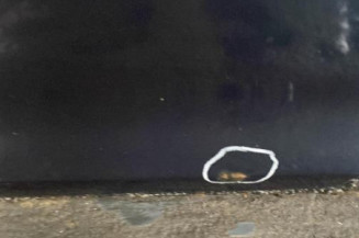 Porte avant gauche MERCEDES CLASSE C 203