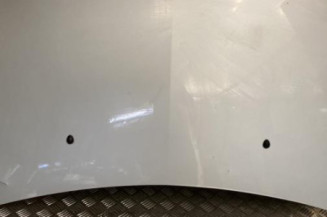 Capot RENAULT CLIO 3 Photo n°1