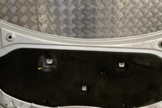 Capot RENAULT CLIO 3