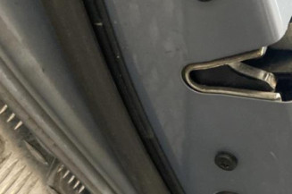 Porte arriere gauche BMW SERIE 3 E91