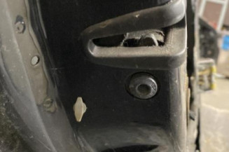 Porte arriere gauche AUDI A2