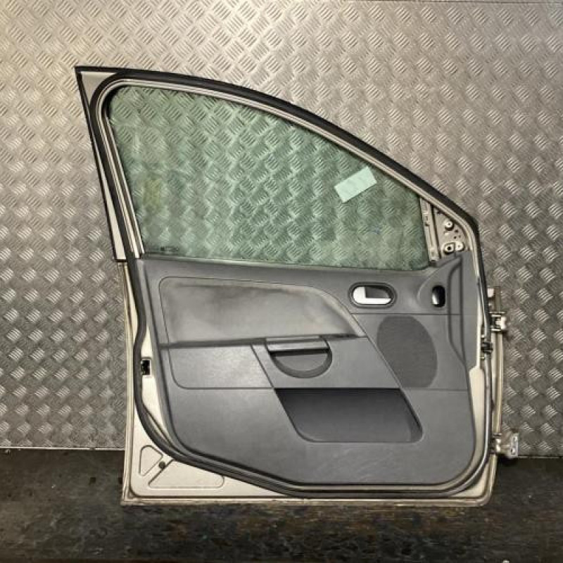 Porte avant gauche FORD FIESTA 5 Photo n°3