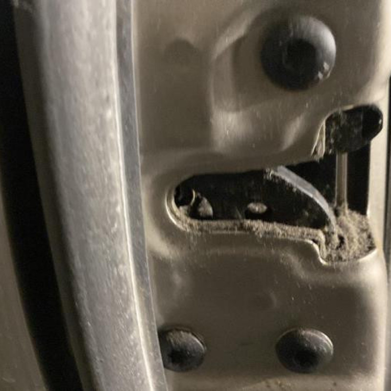 Porte avant gauche FORD FIESTA 5 Photo n°5